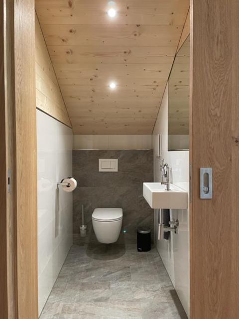 Appartements Plattei Sankt Gallenkirch Dış mekan fotoğraf