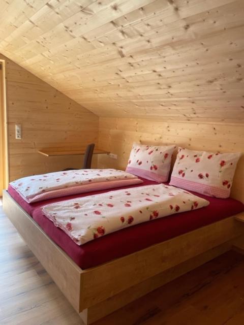 Appartements Plattei Sankt Gallenkirch Dış mekan fotoğraf